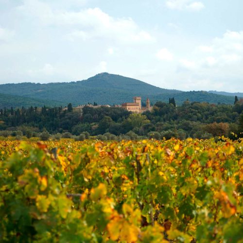 Bolgheri in autumn